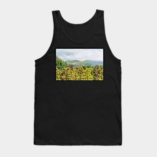 Apple harvest below Bad Berg, Kaiserstuhl, Germany Tank Top